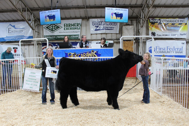 Reserve Champion Steer