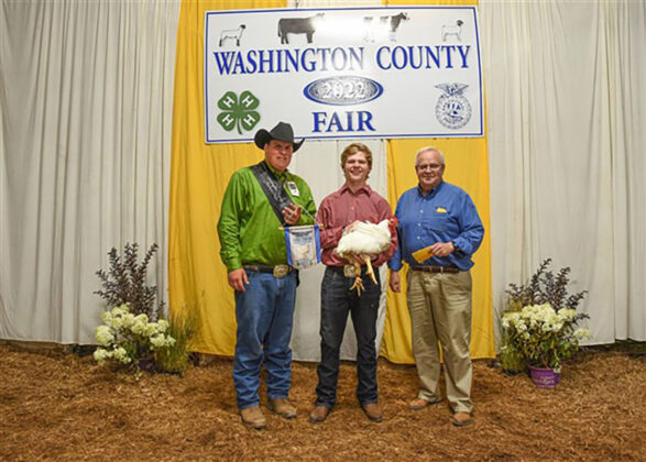 Grand Champion Market Chickens