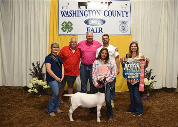 Reserve Champion Market Goat