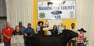 Grand Champion Market Steer