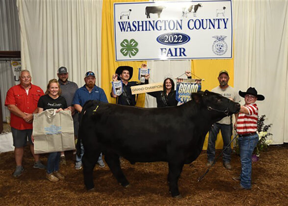 Grand Champion Market Steer