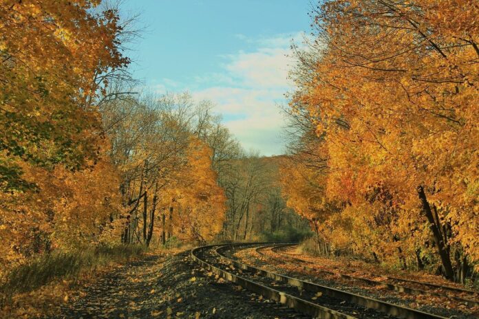 fall leaves and train tracks fall leaves and train tracks