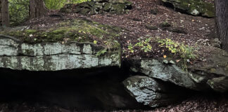 Bears Den Run