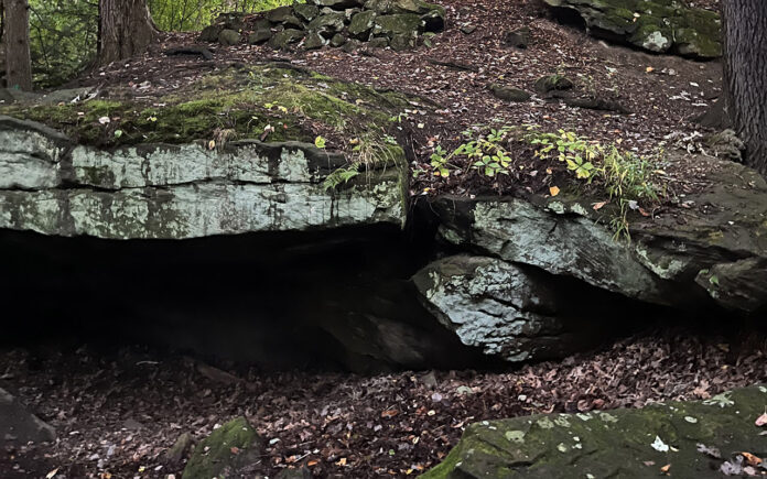 Bears Den Run Bears Den Run