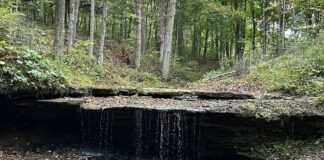 Settlers Cabin Park