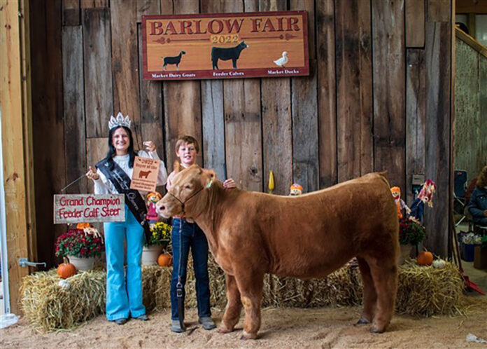 Grand Champion Feeder Calf Steer Grand Champion Feeder Calf Steer