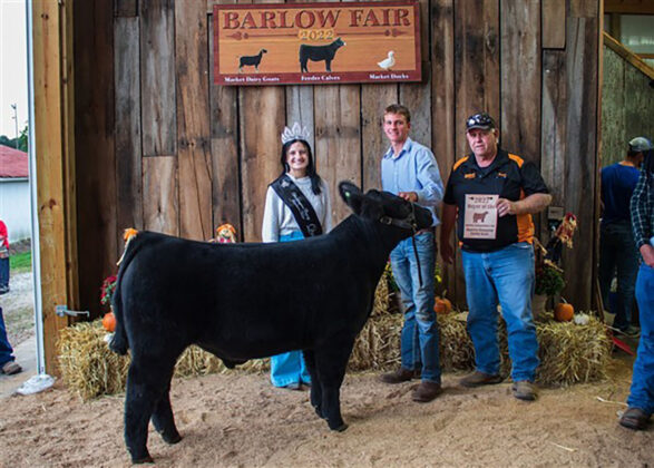 Reserve Champion Feeder Calf Steer