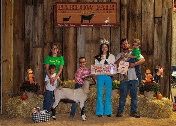 Reserve Champion Dairy Goat