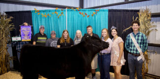Grand Champion Market Beef