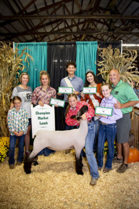 Grand Champion Market Lamb