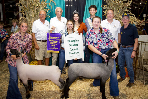 Grand Champion Pen of Lambs