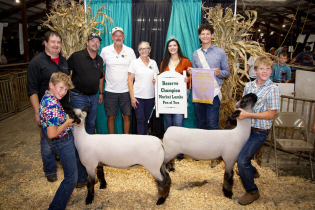 Reserve Champion Lambs