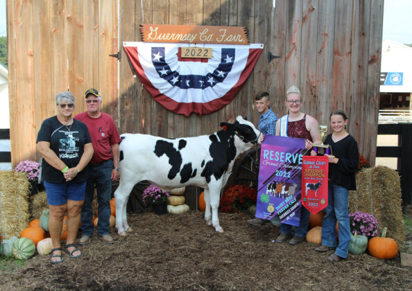 Reserve Champion Dairy Beef Feeder