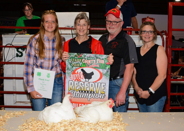 Reserve Champion Broiler Meat Pen