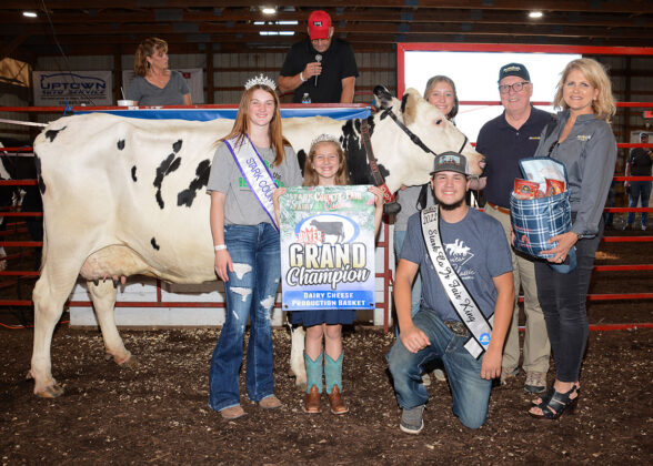 Grand Champion Dairy Cheese