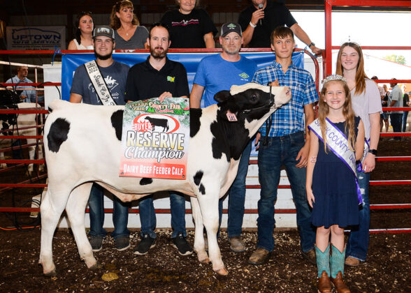 Reserve Champion Dairy Beef Feeder