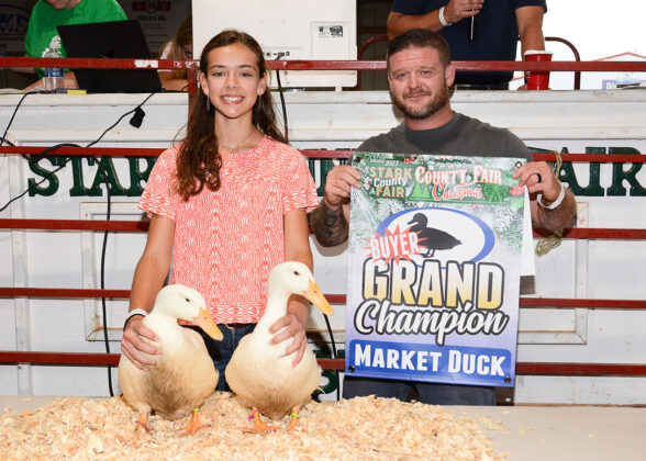 Grand Champion Duck