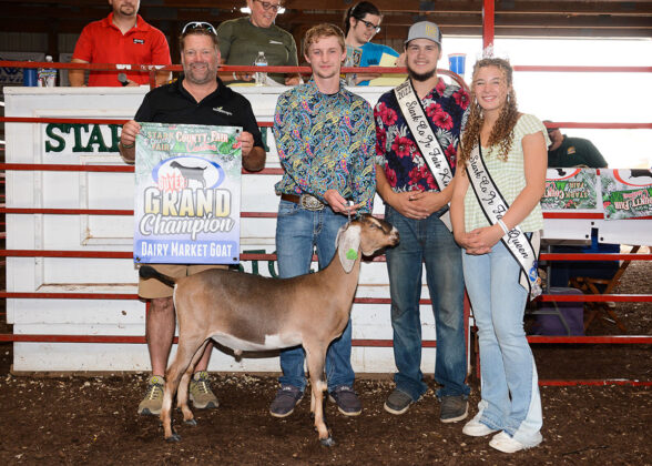 Grand Champion Dairy Market Goat