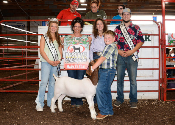 Reserve Champion Market Goat