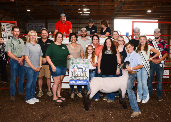Grand Champion Lamb