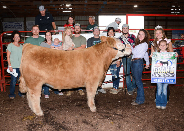 Grand Champion Market Steer