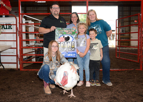Grand Champion Turkey