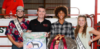 Grand Champion Wool