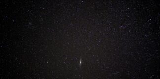stars