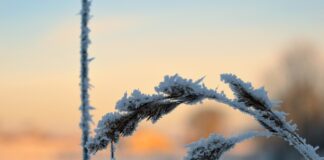winter sunrise