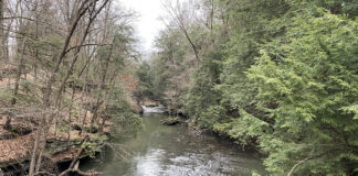 Mill Creek Park
