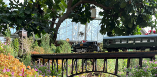 Phipps Conservatory