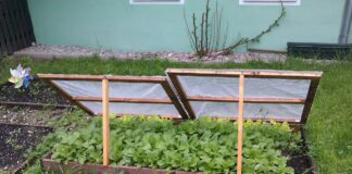 cold frame