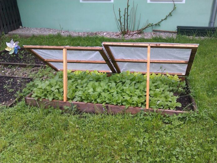 cold frame cold frame