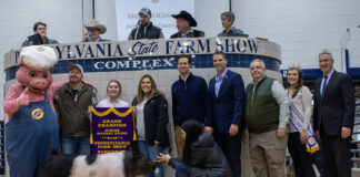 Grand Champion Swine
