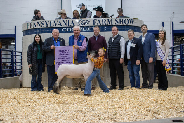 Reserve Champion Lamb