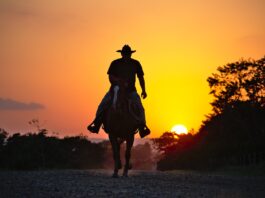 cowboy