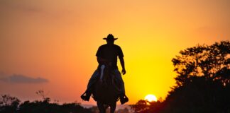 cowboy