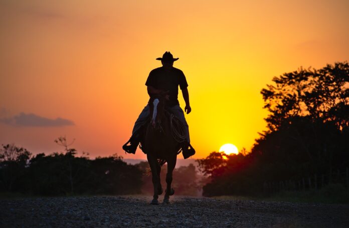 cowboy cowboy