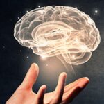 neuroscience-and-motivation-what-you-need-know