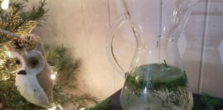 Pine needle tea