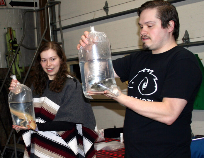 Hicks and Hayseeds 4-H club Hicks and Hayseeds 4-H club