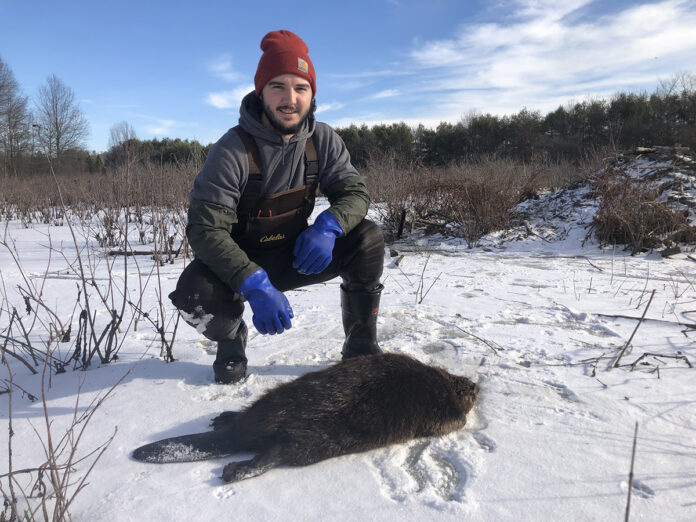 Beaver hunting Beaver hunting