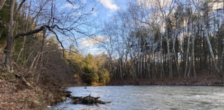 Little Beaver Creek