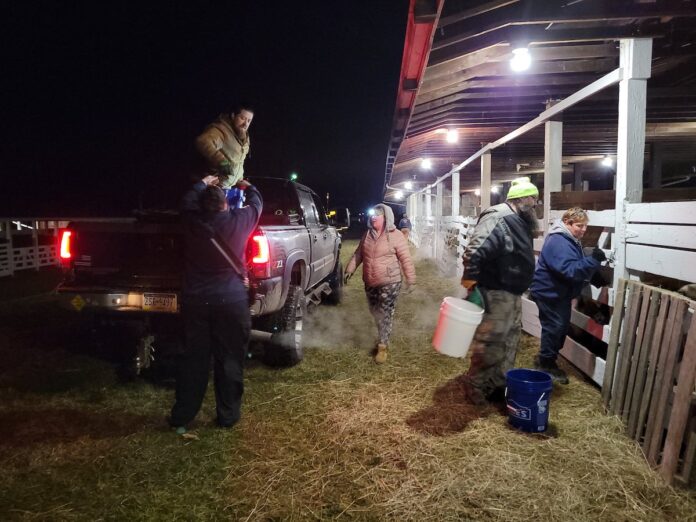 animal-evac-pa