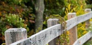 fence and wildflowers