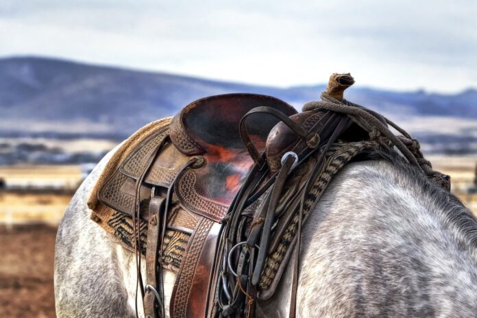 saddle on a horse saddle on a horse