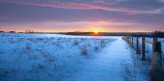 sunset over a prairie