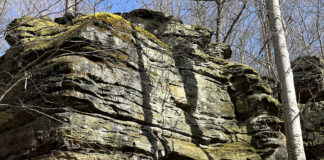 Whipp's Ledges