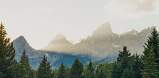 grand teton