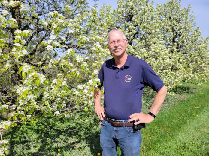dan simmons peace valley orchard A white man stand in front of a tree with lots of white flowers on it